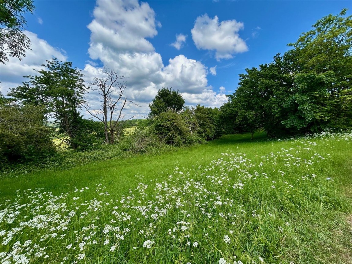 Images for Horseshoe Hill, Waltham Abbey