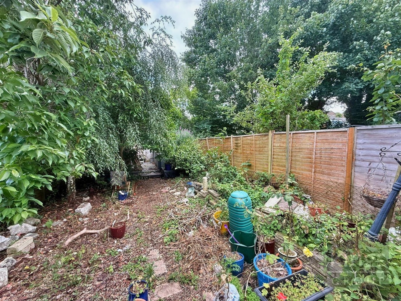 Images for The Hornbeams, Harlow
