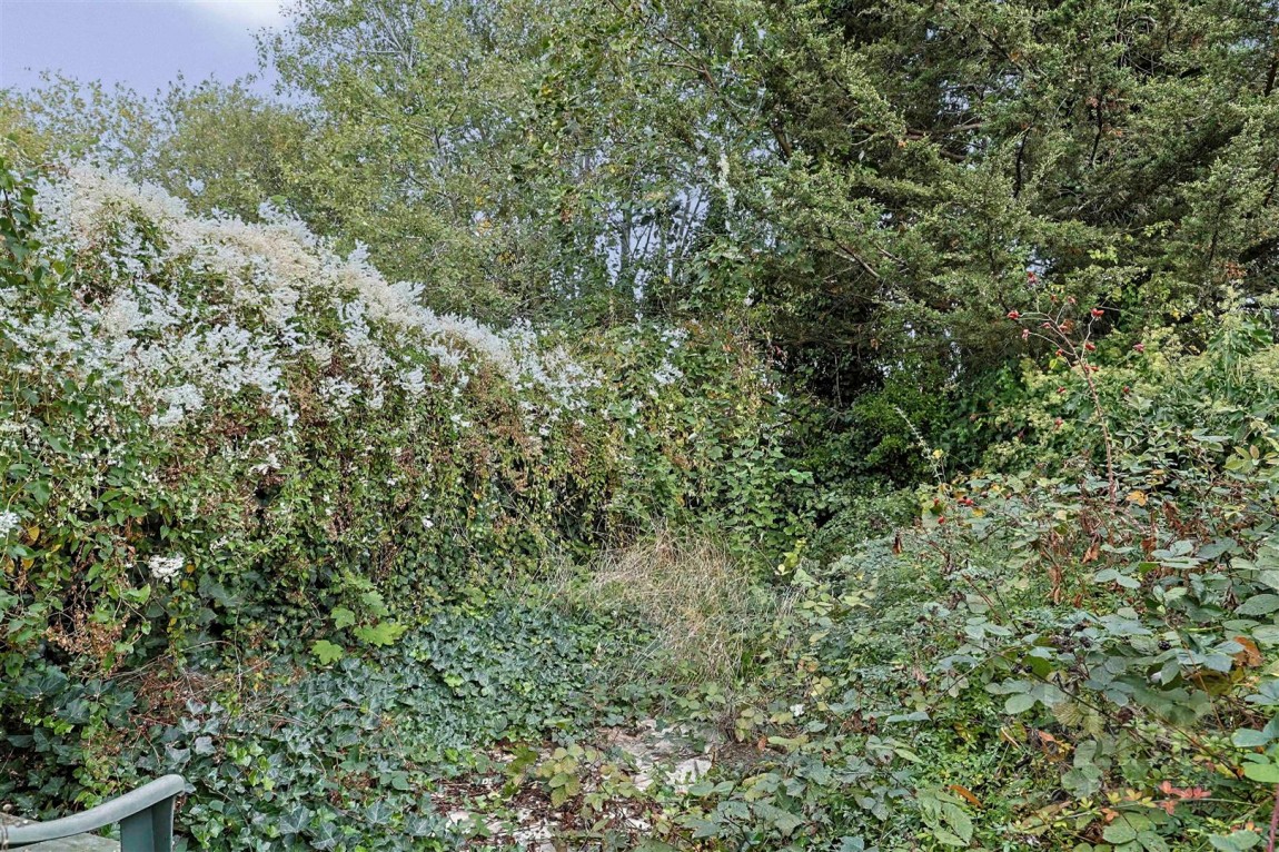 Images for Ordnance Road, Enfield