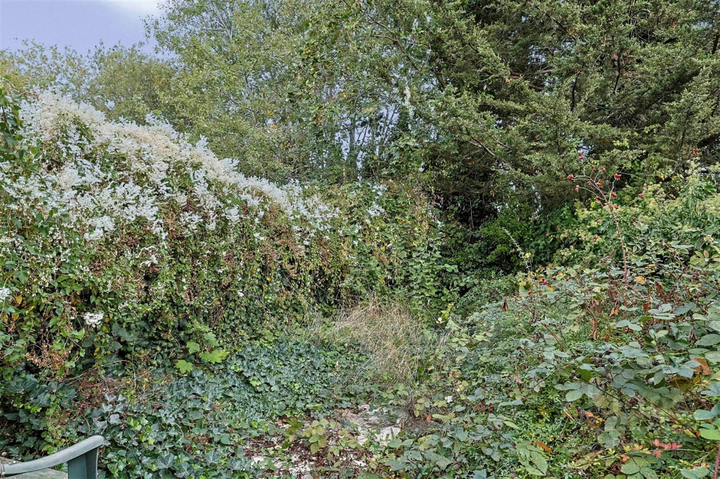 Images for Ordnance Road, Enfield