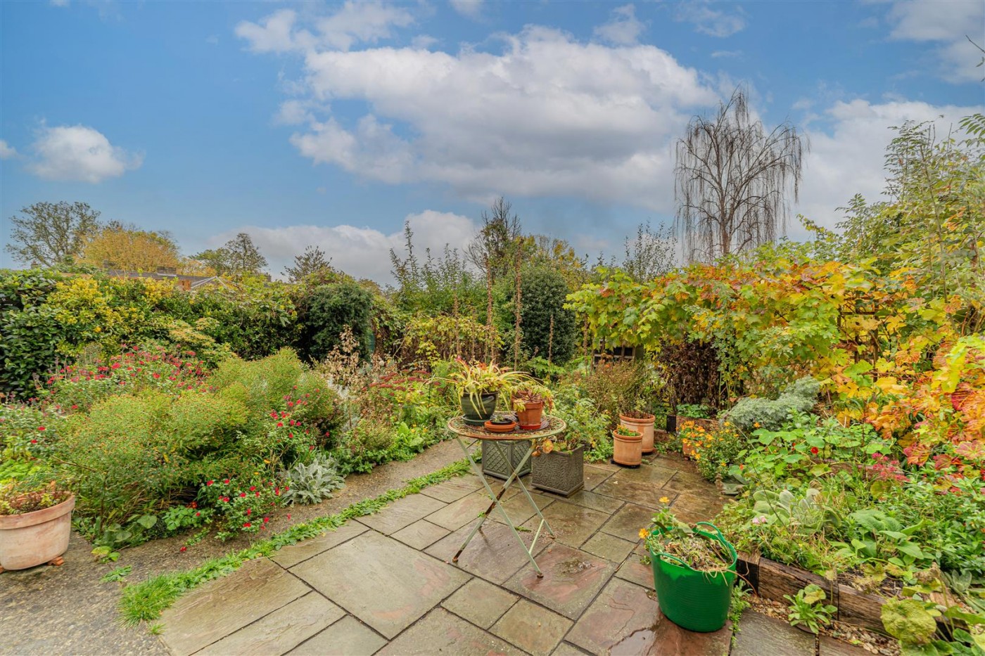 Images for Weir Hall Road, London