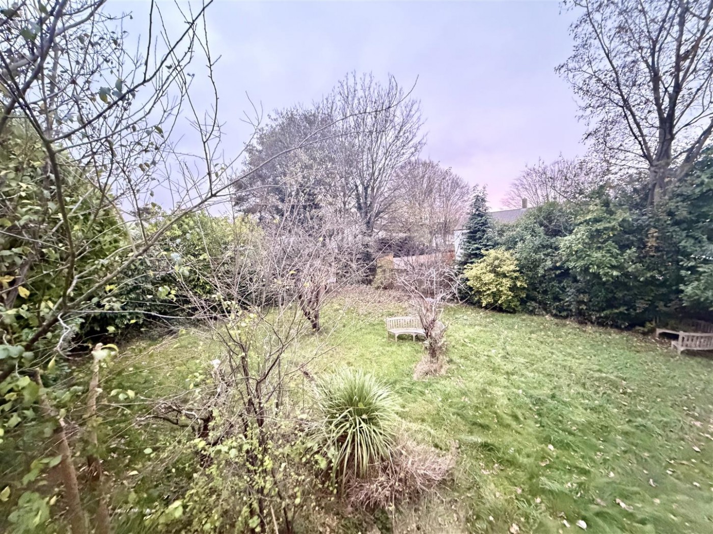 Images for Hornbeams, Harlow