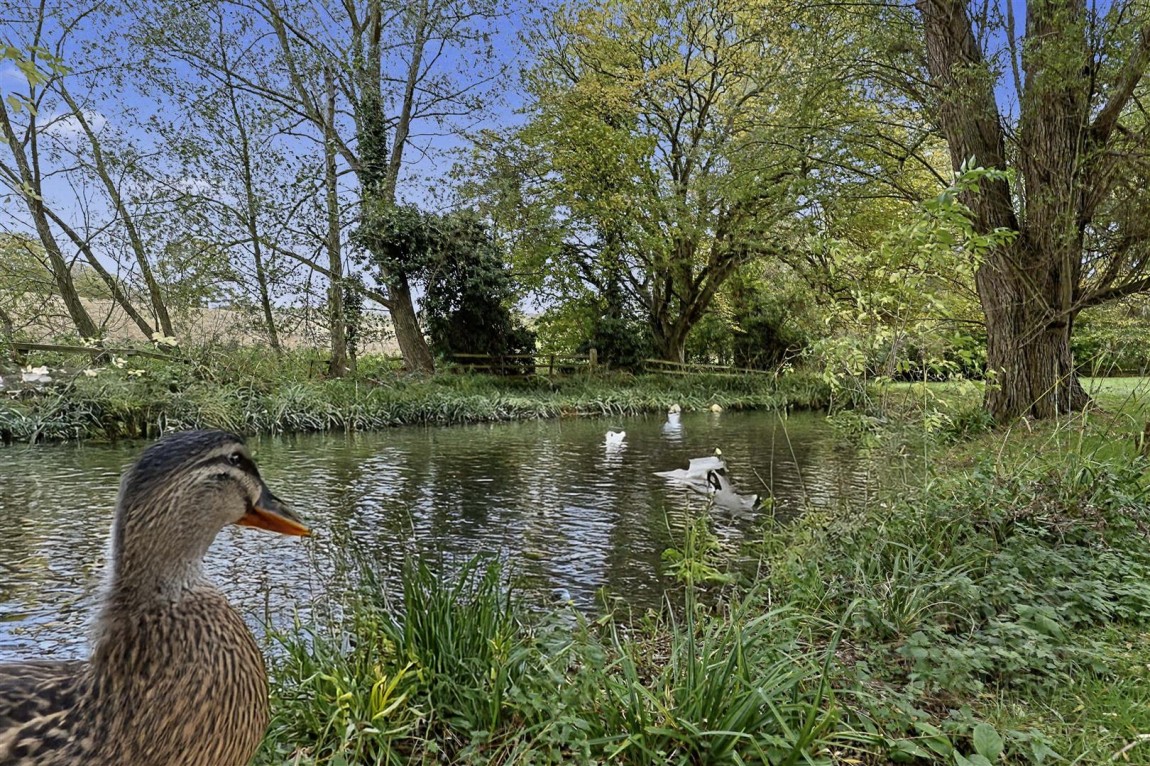Images for Old Park Ride, Waltham Cross