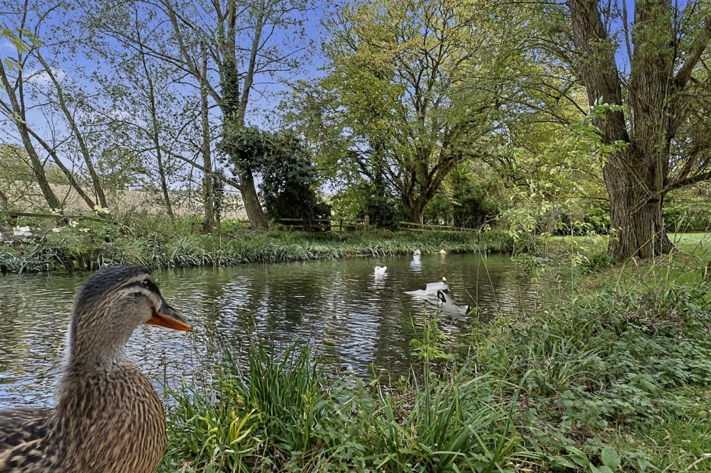 Images for Old Park Ride, Waltham Cross