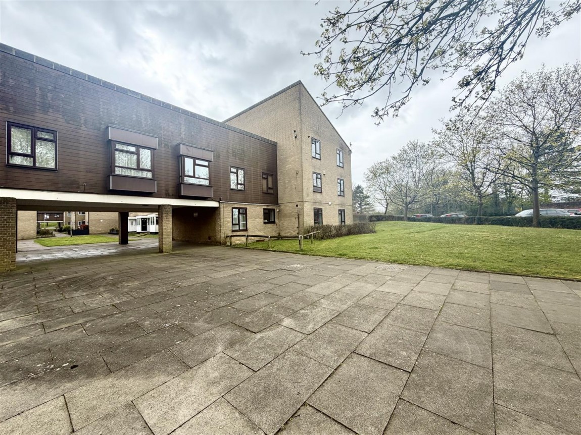 Images for Taylifers, Harlow