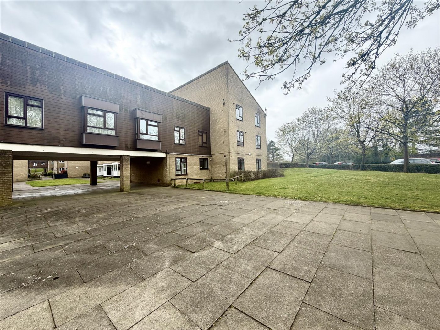 Images for Taylifers, Harlow