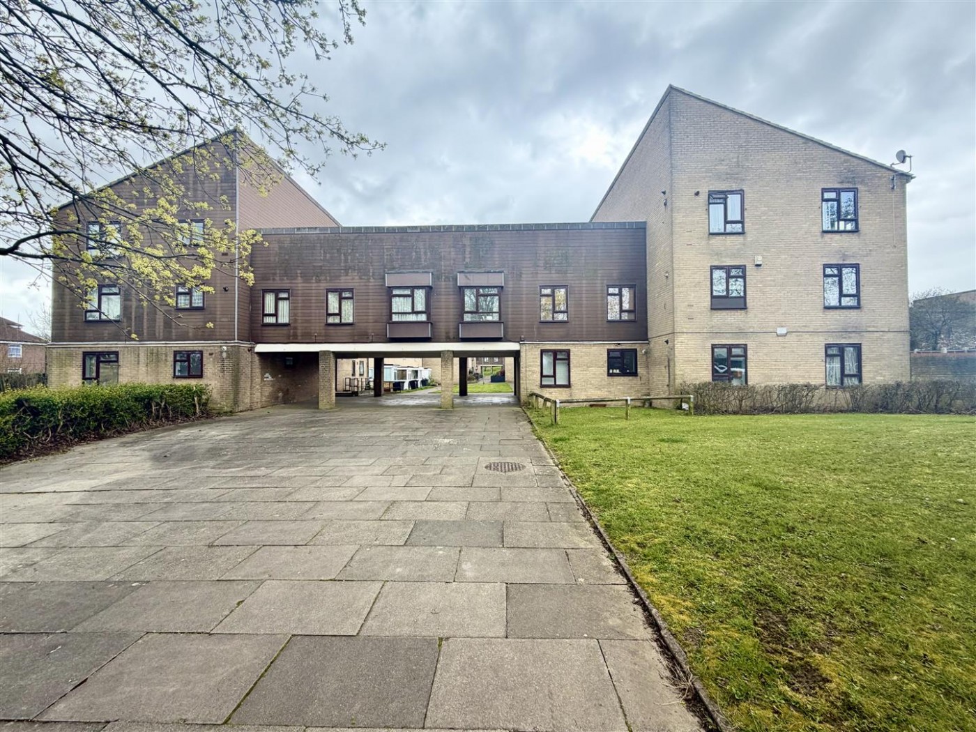 Images for Taylifers, Harlow