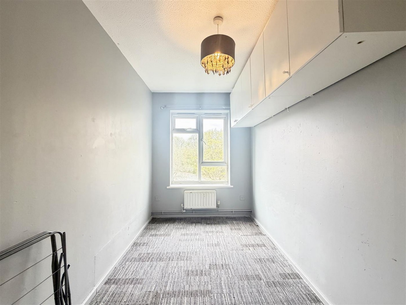 Images for Taylifers, Harlow