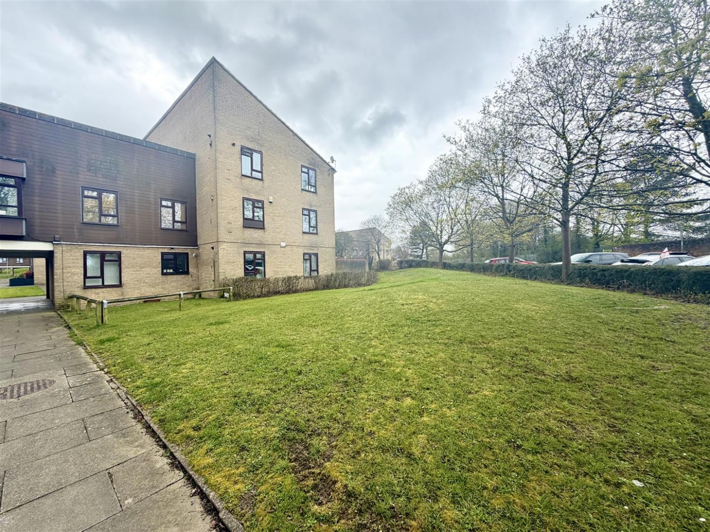 Images for Taylifers, Harlow