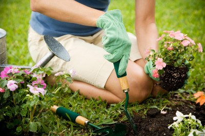 Sellers – here’s how garden maintenance can boost your asking price by £51k
