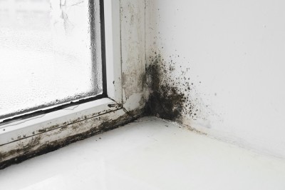 Effective Strategies for Preventing Moisture and Mold Issues in Your Rental Property