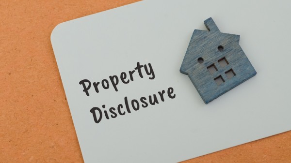 Seller risks when hiding property problems
