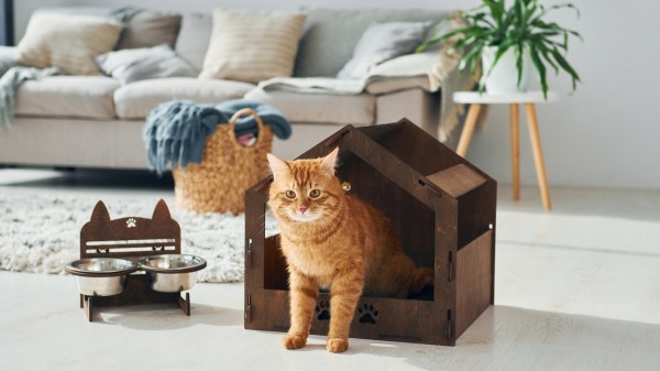 Pets or no pets: Managing furry renters legally and empathetically